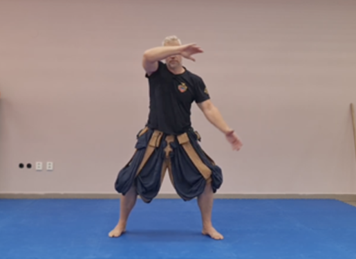 fencers guild solo drills